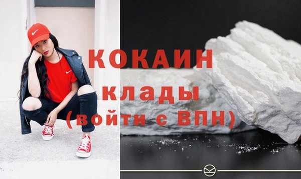 крисы Баксан